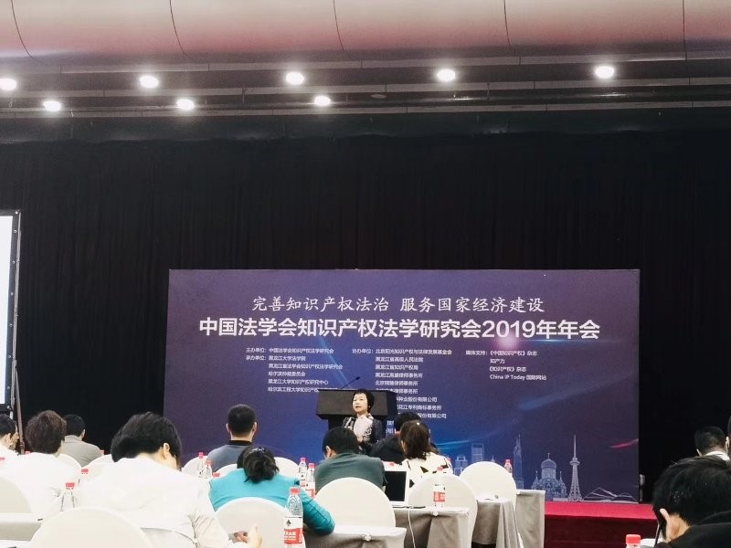 李颖怡副教授在在知识产权司法保护分论坛上进行点评